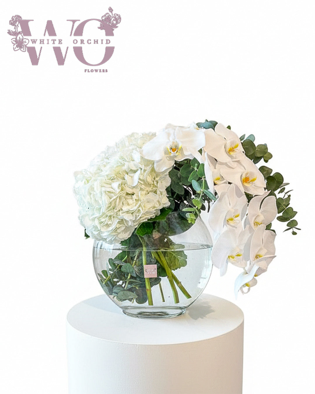 Orchid and hydrangea arrangement made with natural fresh flowers by White Orchid Flowers – luxury floral design with delivery across all UAE.