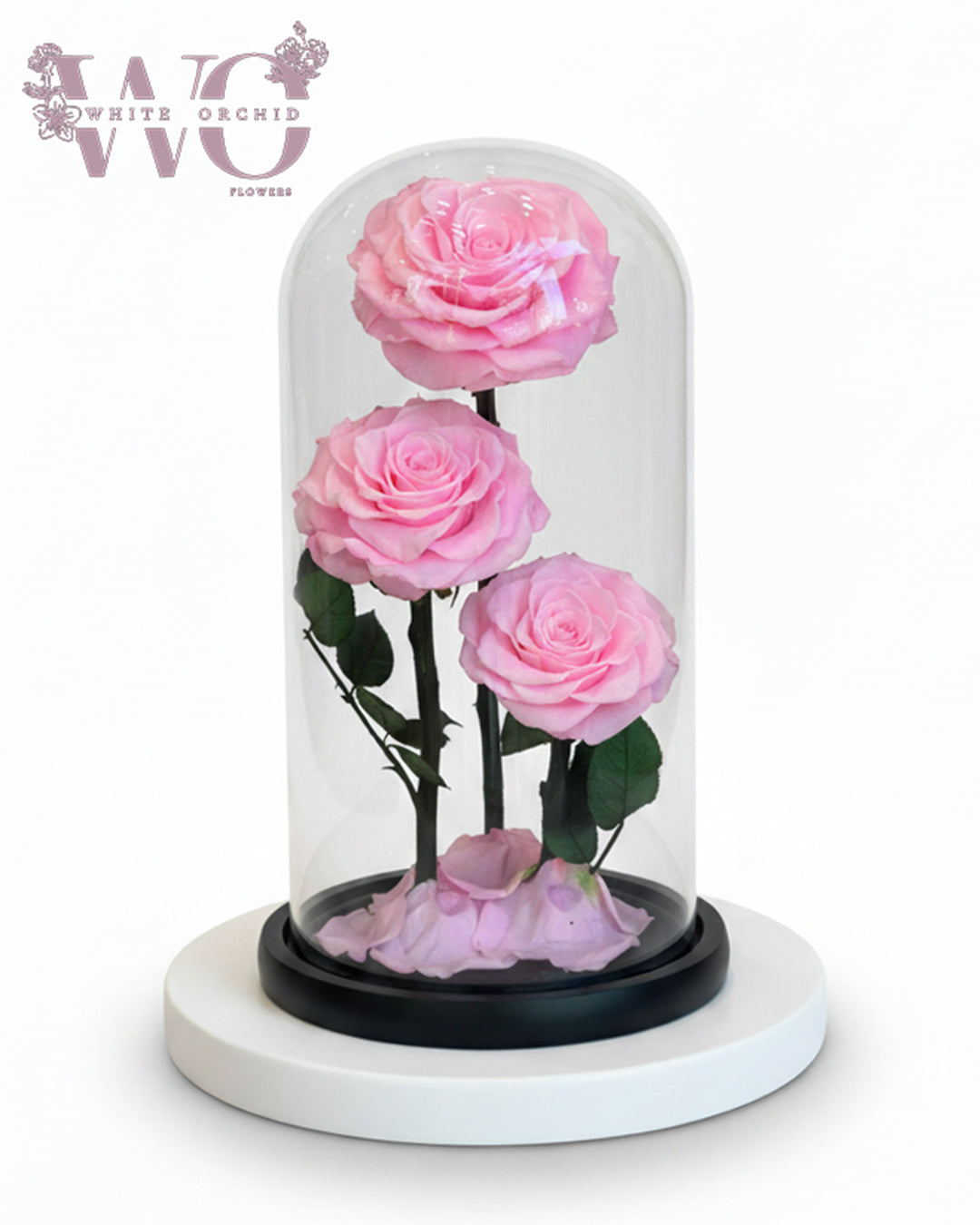 Infinity White Flower Arrangement – White Orchid Flowers