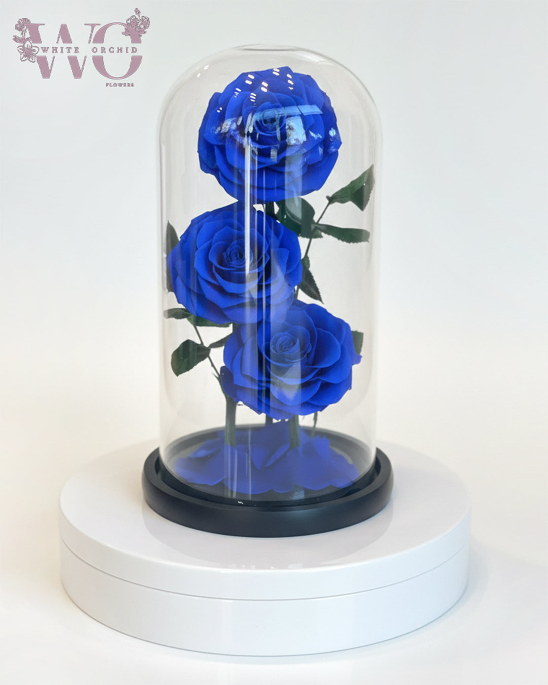 Infinity White Flower Arrangement – White Orchid Flowers