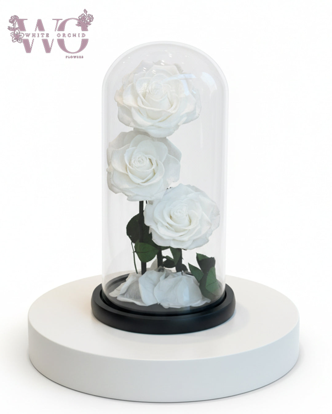 Infinity White Flower Arrangement – White Orchid Flowers