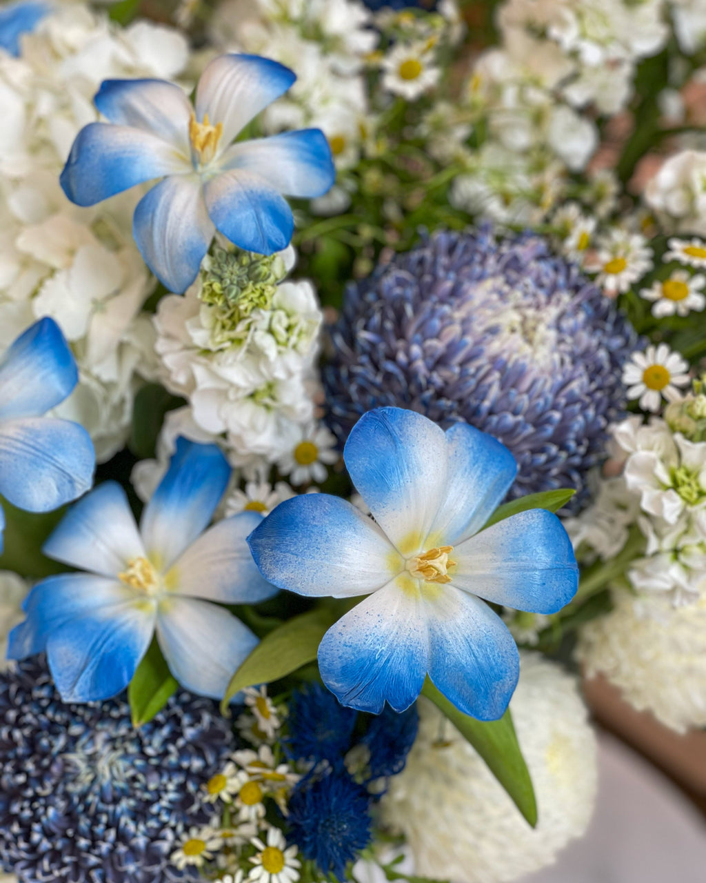 Blue & White Elegance