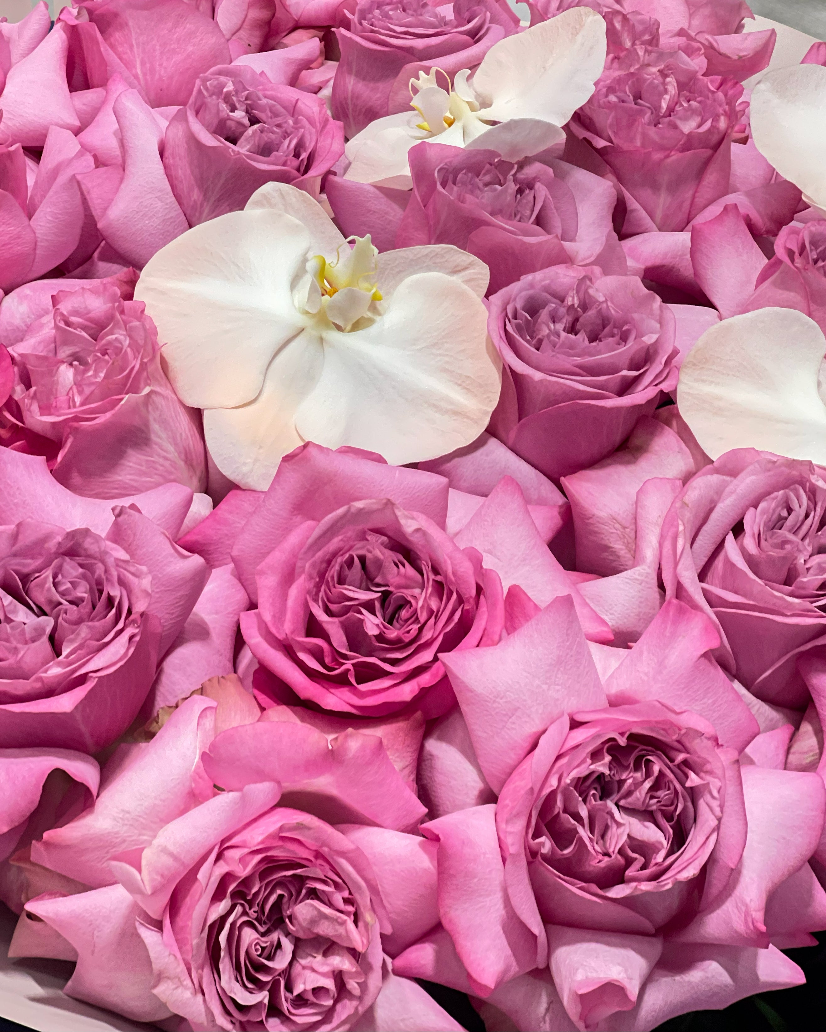 Tie Dye Rose Bouquet – White Orchid Flowers