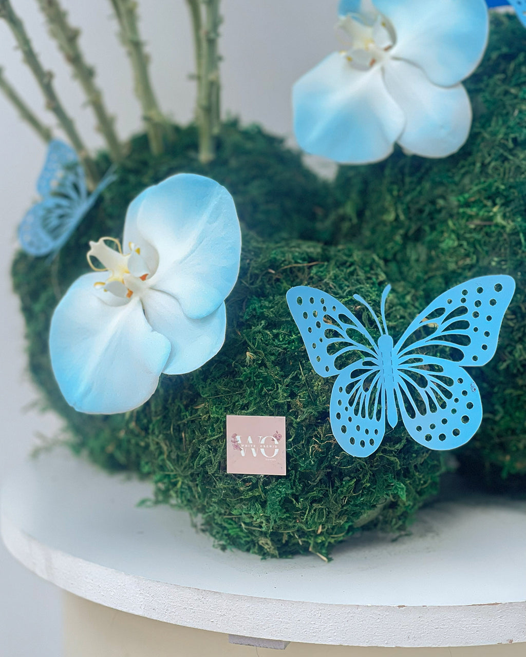 New Baby Boy Flower Arrangement – White Orchid Flowers