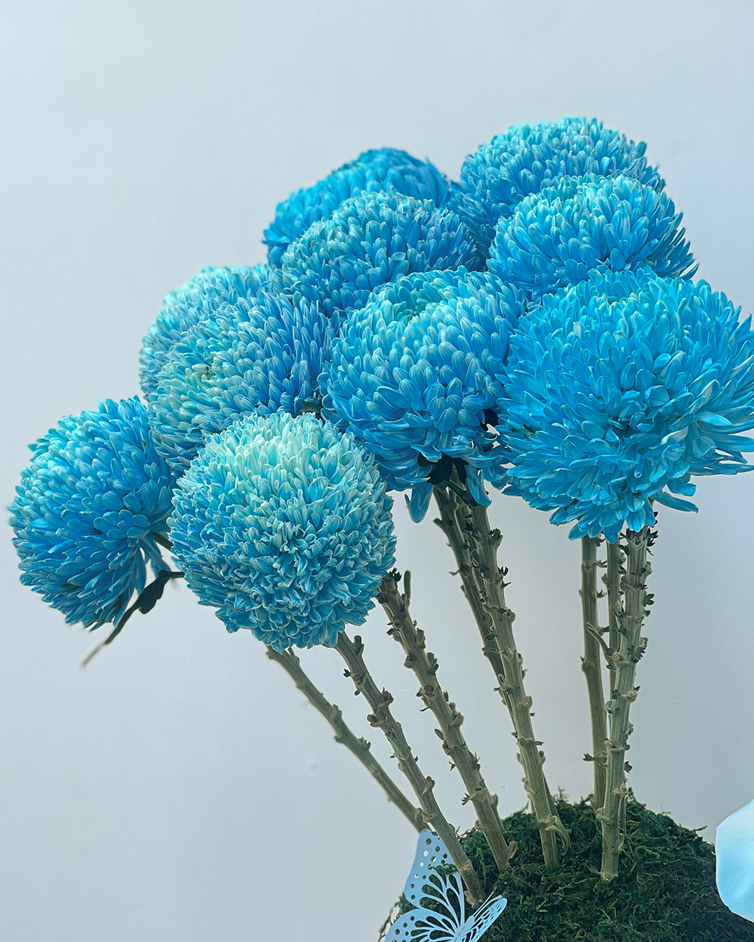 New Baby Boy Flower Arrangement – White Orchid Flowers