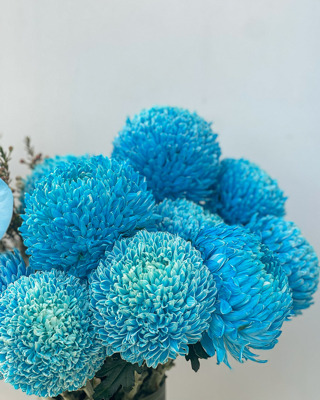 New Baby Boy Flower Arrangement – White Orchid Flowers