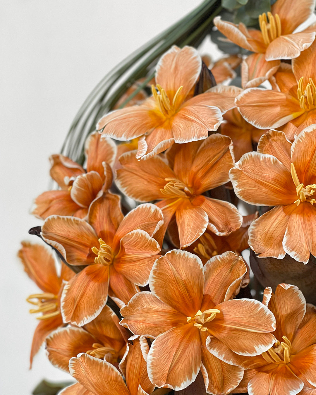 Brown Tone Tulip Bouquet – White Orchid Flowers