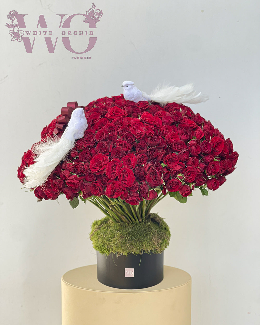 Valentine Red Baby Rose Bouquet – White Orchid Flowers