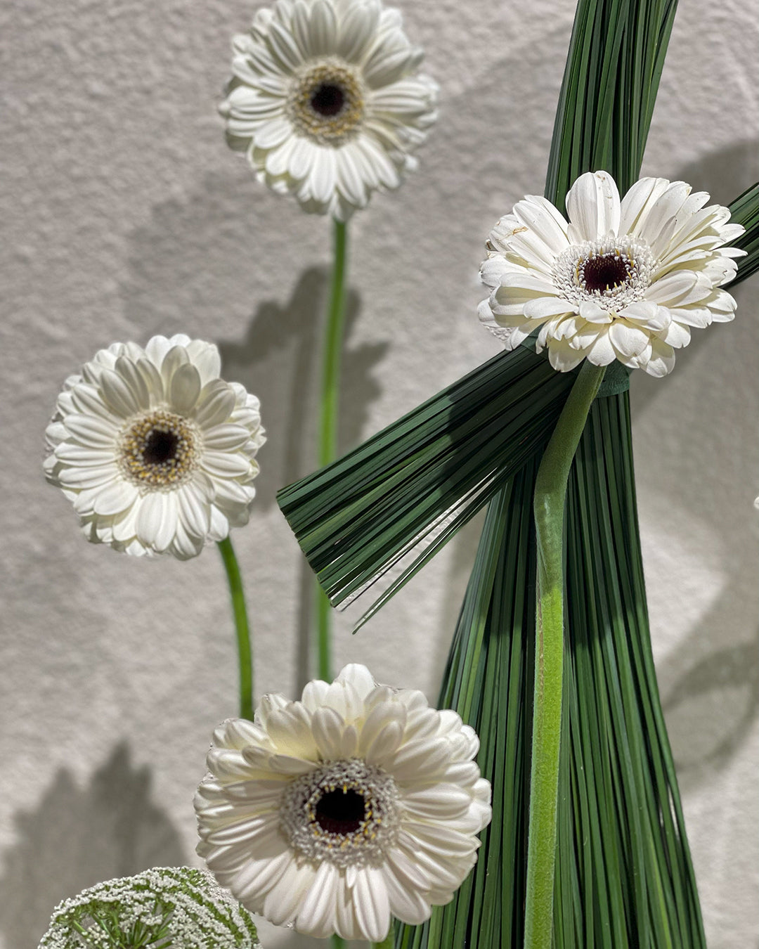 Acrylic Box with Matthiola Flower – White Orchid Flowers