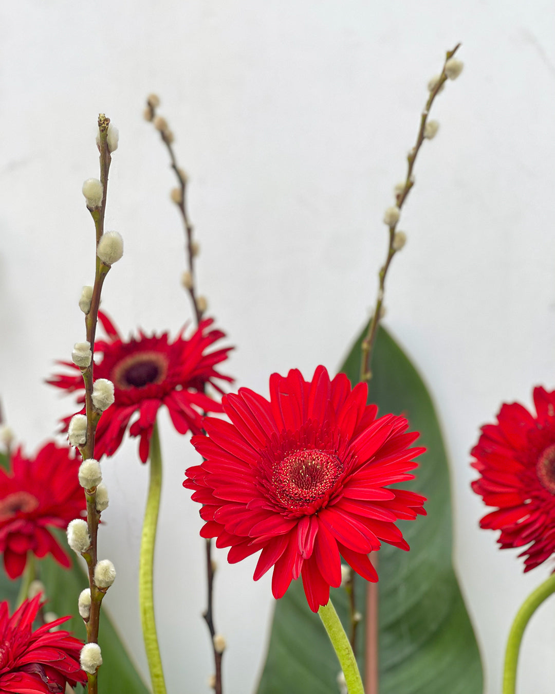 Valentine Teddy Bear Flower Bouquet – White Orchid Flowers