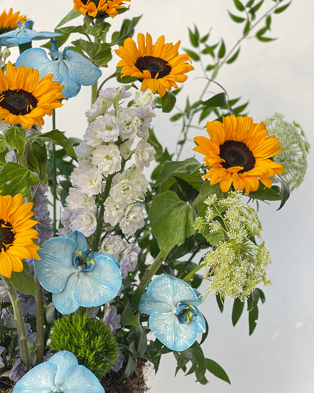 Sunflower Vase Arrangement – White Orchid Flowers Sharjah