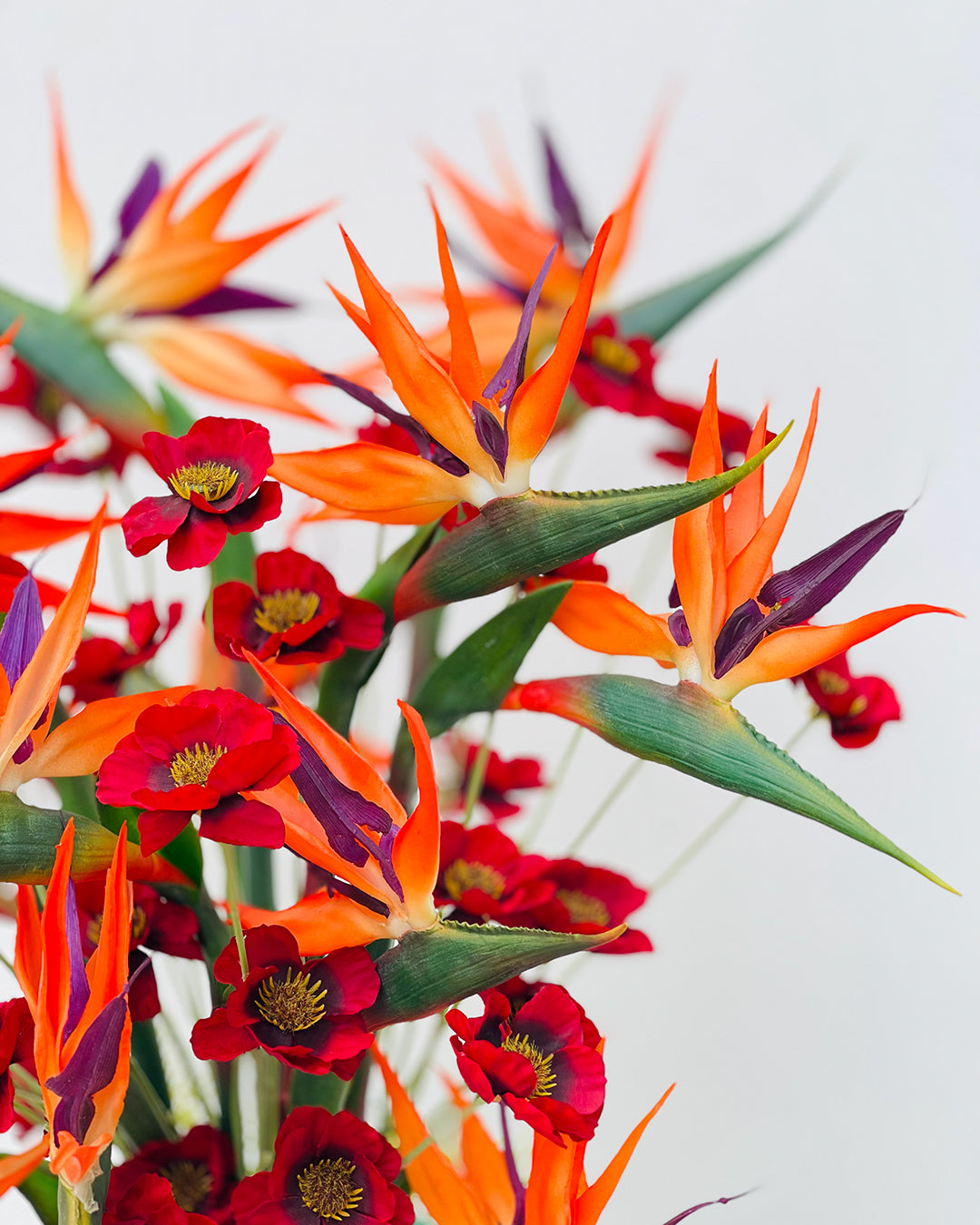 Bird of Paradise Flower