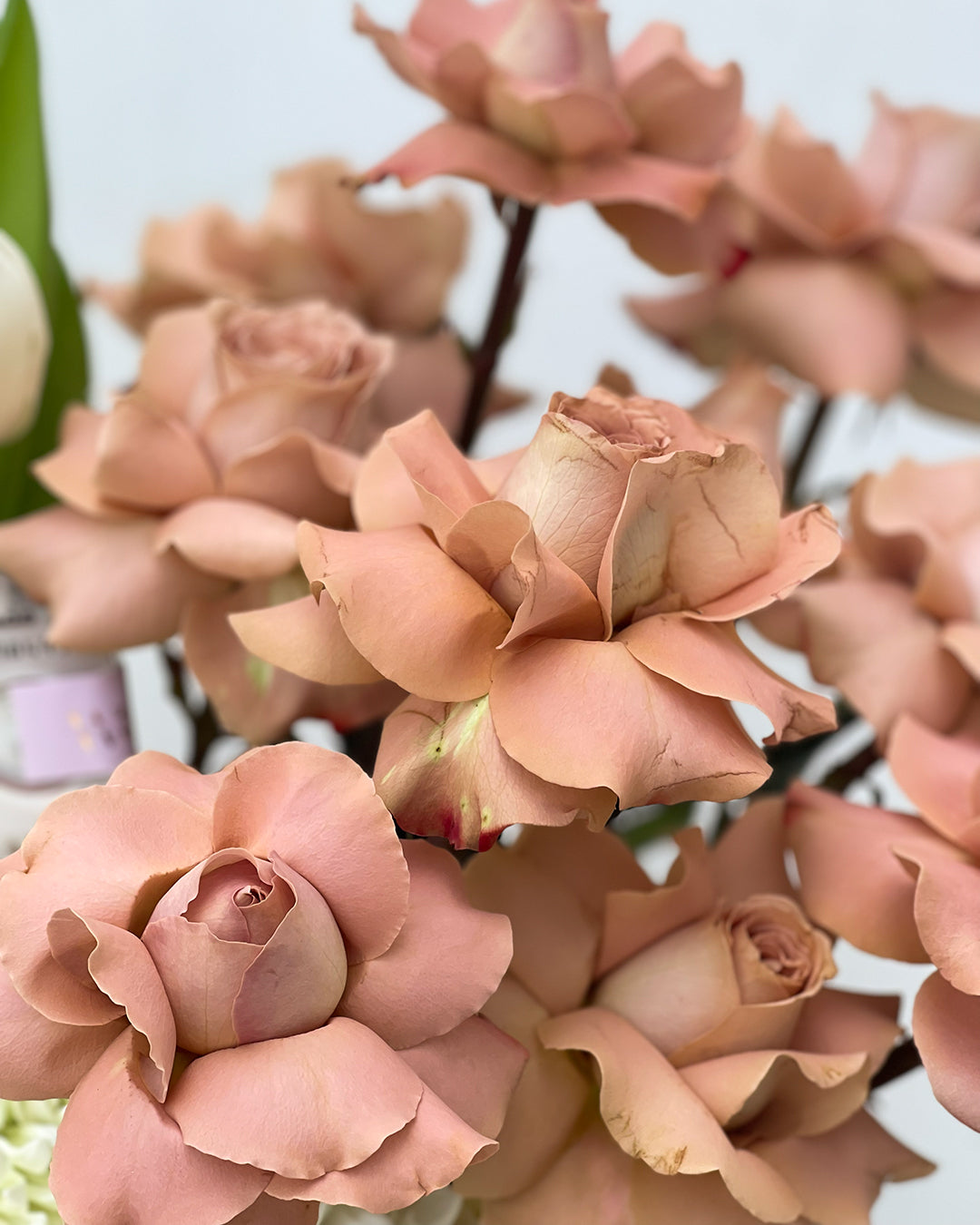 Arrangement with Tulips & Roses