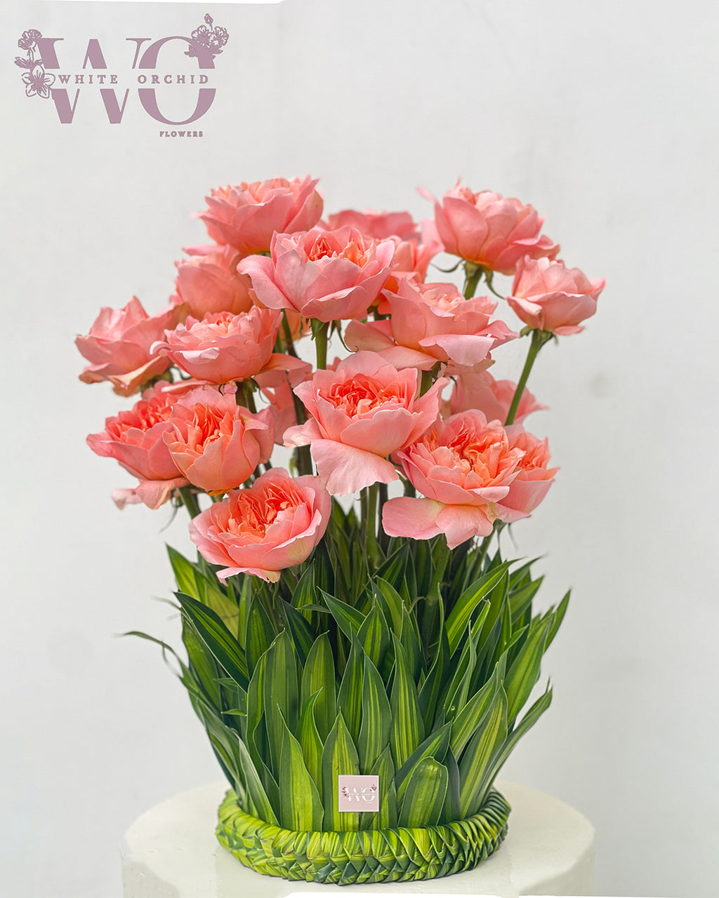 Peach garden rose arrangement with green foliage in a modern base by White Orchid Flowers UAE.