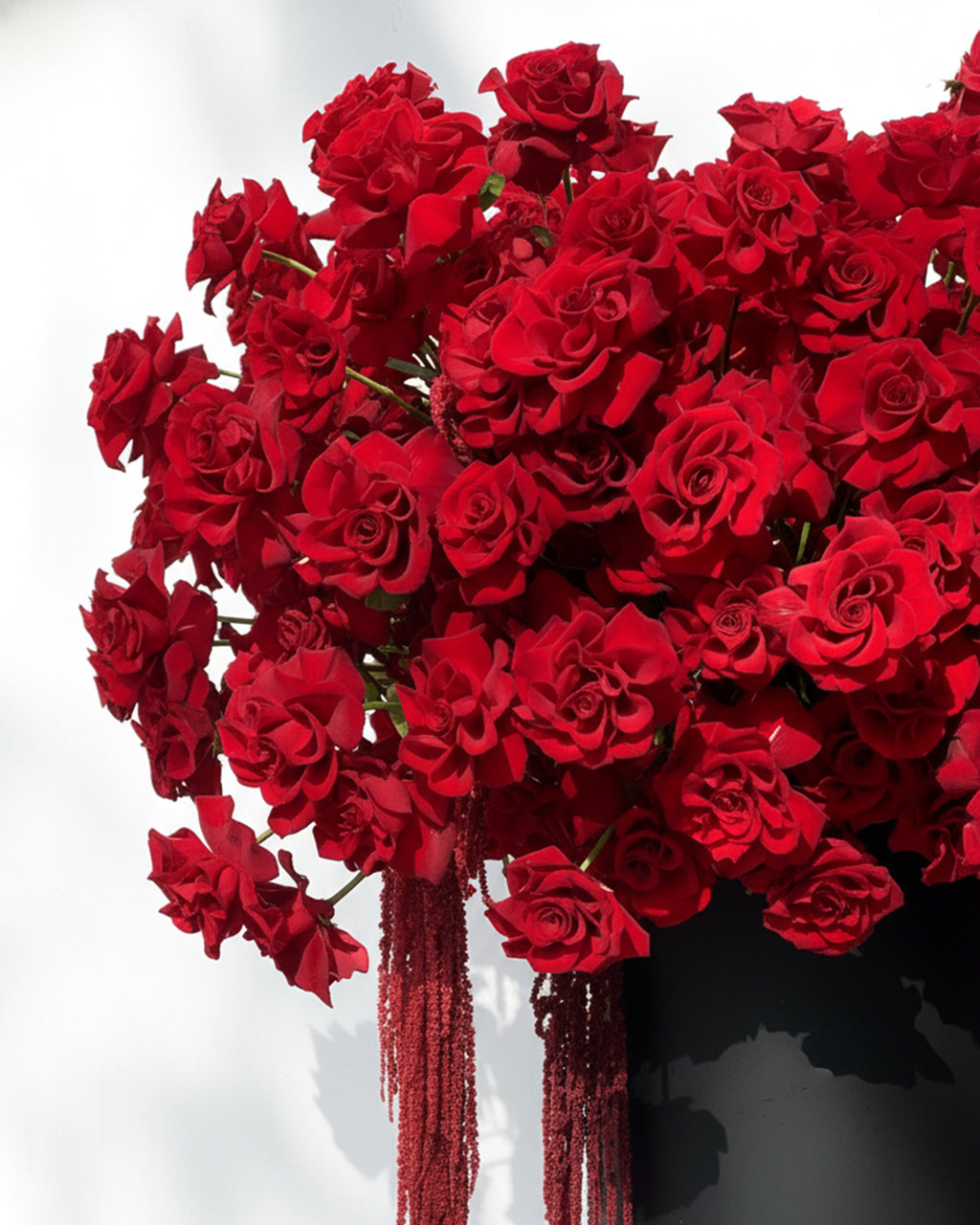 Valentine Red Roses Vase Arrangement – White Orchid Flowers